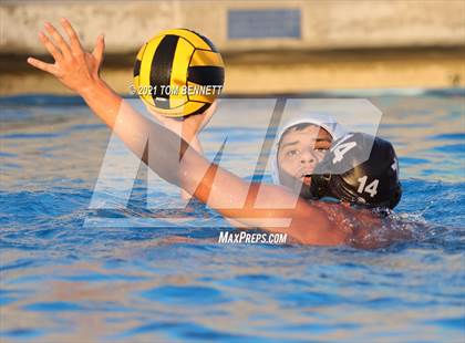 Thumbnail 1 in Montgomery @ Olympian photogallery.