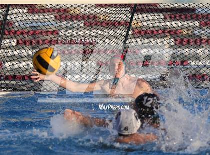 Thumbnail 2 in Montgomery @ Olympian photogallery.