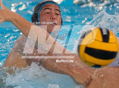 Thumbnail 3 in Montgomery @ Olympian photogallery.