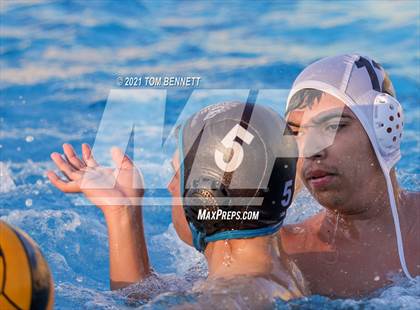 Thumbnail 3 in Montgomery @ Olympian photogallery.