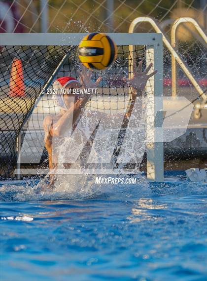 Thumbnail 2 in Montgomery @ Olympian photogallery.