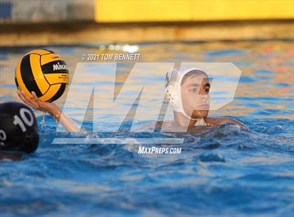 Thumbnail 3 in Montgomery @ Olympian photogallery.