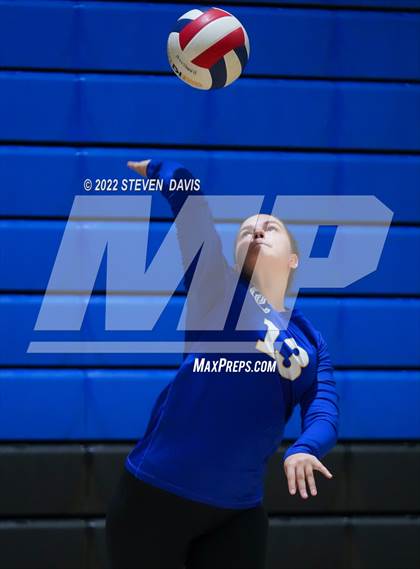 Thumbnail 2 in O'Connor vs Hamilton photogallery.