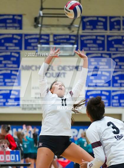 Thumbnail 2 in O'Connor vs Hamilton photogallery.