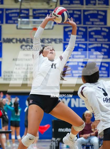 Thumbnail 1 in O'Connor vs Hamilton photogallery.