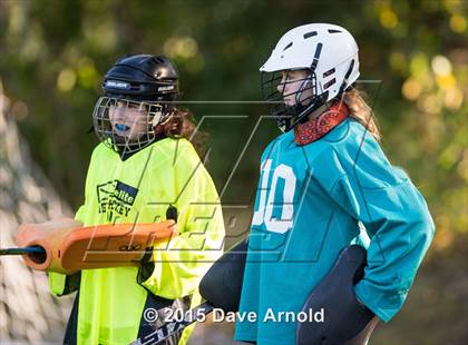 Thumbnail 3 in Dedham @ Wellesley photogallery.