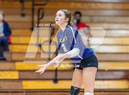 Thumbnail 1 in Jack Britt @ Pine Forest photogallery.