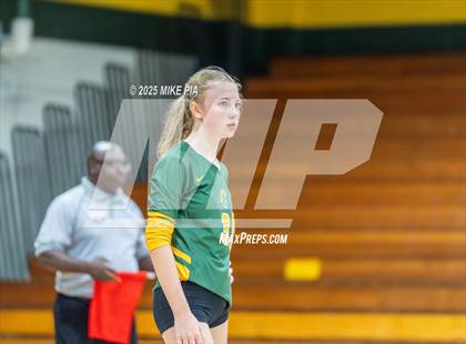Thumbnail 1 in Jack Britt @ Pine Forest photogallery.