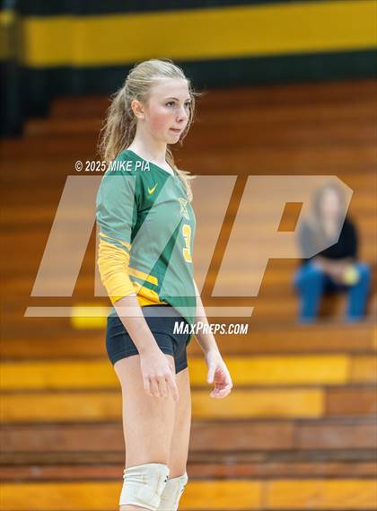 Thumbnail 3 in Jack Britt @ Pine Forest photogallery.