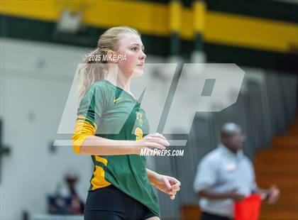 Thumbnail 1 in Jack Britt @ Pine Forest photogallery.