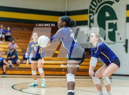 Thumbnail 1 in Jack Britt @ Pine Forest photogallery.