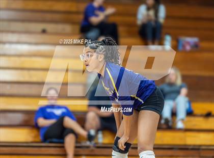 Thumbnail 2 in Jack Britt @ Pine Forest photogallery.
