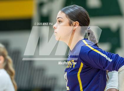 Thumbnail 2 in Jack Britt @ Pine Forest photogallery.