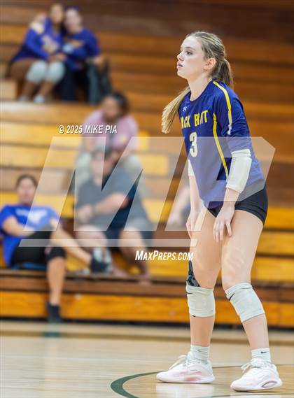 Thumbnail 1 in Jack Britt @ Pine Forest photogallery.