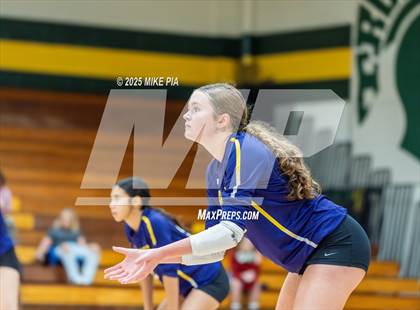 Thumbnail 2 in Jack Britt @ Pine Forest photogallery.