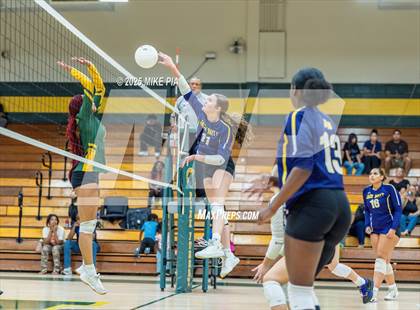 Thumbnail 3 in Jack Britt @ Pine Forest photogallery.