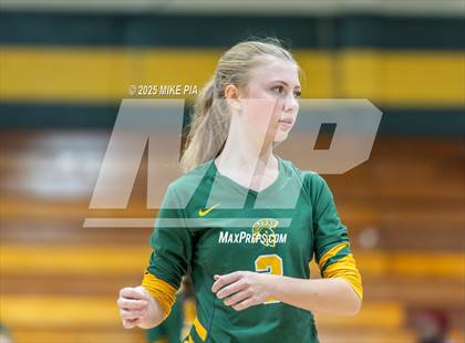 Thumbnail 2 in Jack Britt @ Pine Forest photogallery.