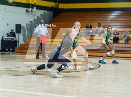 Thumbnail 2 in Jack Britt @ Pine Forest photogallery.