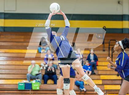 Thumbnail 1 in Jack Britt @ Pine Forest photogallery.