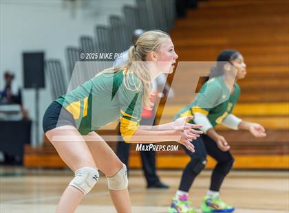 Thumbnail 1 in Jack Britt @ Pine Forest photogallery.