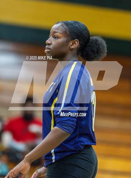 Thumbnail 3 in Jack Britt @ Pine Forest photogallery.