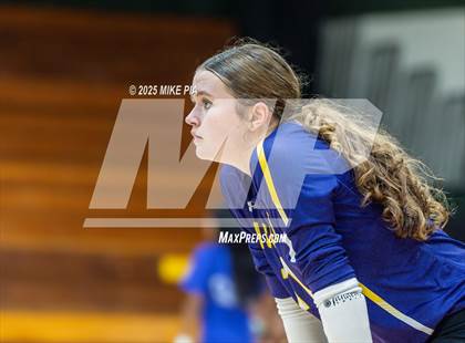 Thumbnail 3 in Jack Britt @ Pine Forest photogallery.