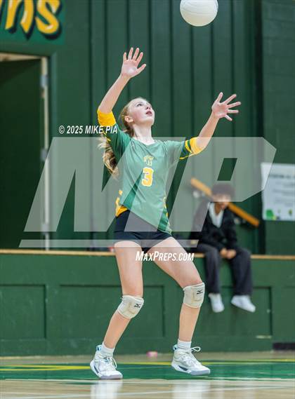 Thumbnail 1 in Jack Britt @ Pine Forest photogallery.
