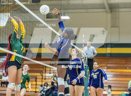 Thumbnail 3 in Jack Britt @ Pine Forest photogallery.