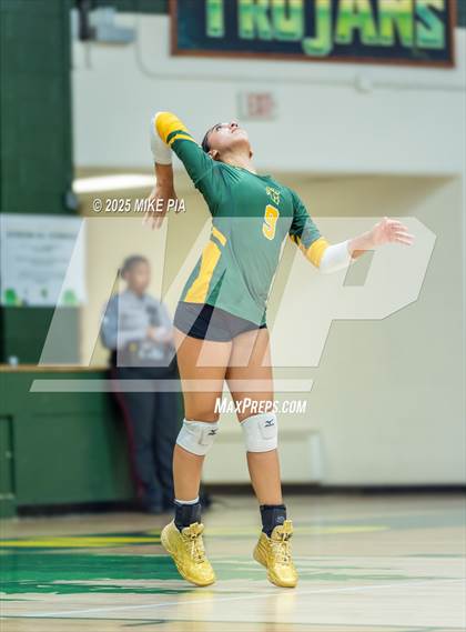 Thumbnail 3 in Jack Britt @ Pine Forest photogallery.