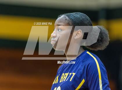 Thumbnail 3 in Jack Britt @ Pine Forest photogallery.