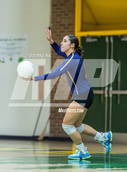 Thumbnail 3 in Jack Britt @ Pine Forest photogallery.