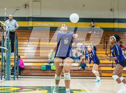 Thumbnail 3 in Jack Britt @ Pine Forest photogallery.