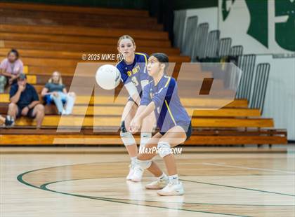 Thumbnail 3 in Jack Britt @ Pine Forest photogallery.