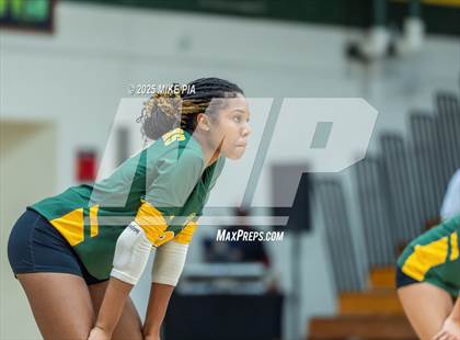 Thumbnail 1 in Jack Britt @ Pine Forest photogallery.