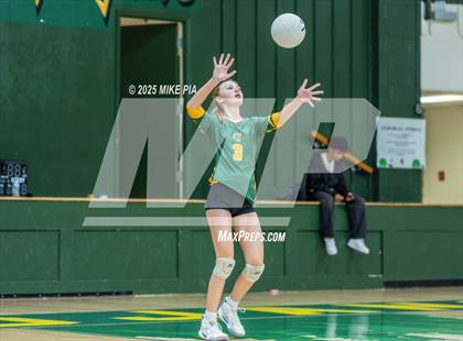 Thumbnail 3 in Jack Britt @ Pine Forest photogallery.