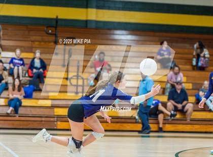 Thumbnail 2 in Jack Britt @ Pine Forest photogallery.