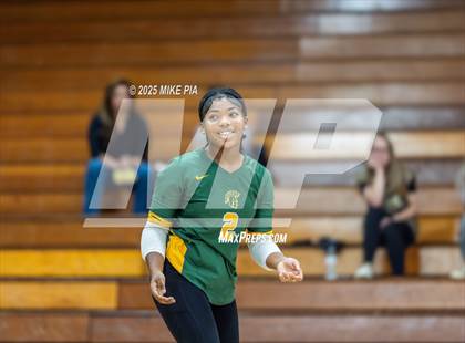 Thumbnail 1 in Jack Britt @ Pine Forest photogallery.