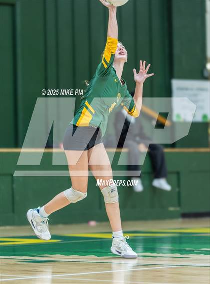 Thumbnail 1 in Jack Britt @ Pine Forest photogallery.
