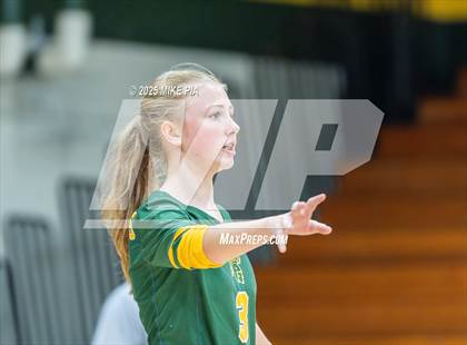 Thumbnail 3 in Jack Britt @ Pine Forest photogallery.