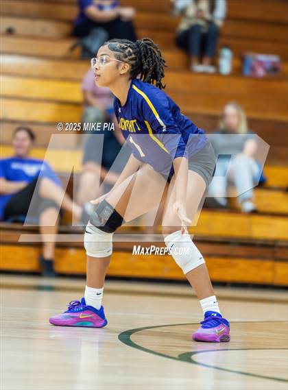 Thumbnail 1 in Jack Britt @ Pine Forest photogallery.