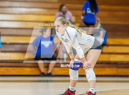 Thumbnail 1 in Jack Britt @ Pine Forest photogallery.