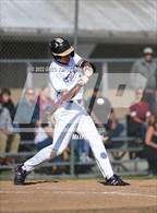 Photo from the gallery "Santa Rosa @ Petaluma"