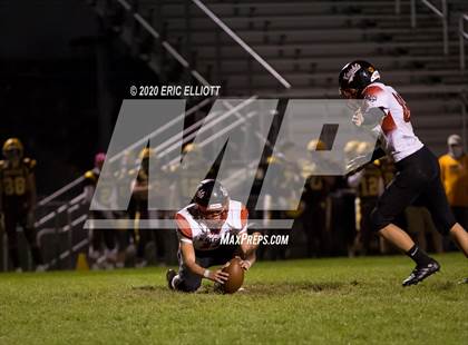 Thumbnail 3 in Franklin @ Titusville photogallery.
