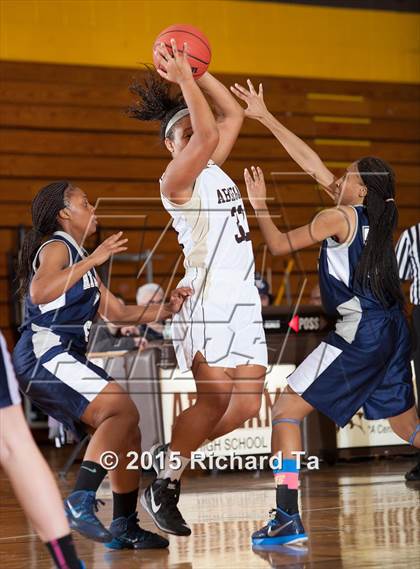 Thumbnail 2 in Atlantic City @ Absegami photogallery.