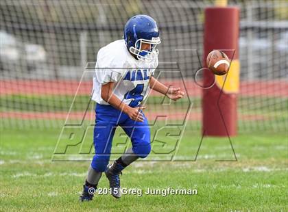 Thumbnail 1 in Analy @ Cardinal Newman photogallery.