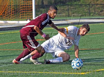Thumbnail 1 in Mount Vernon vs. Midlothian (VHSL Semifinal) photogallery.
