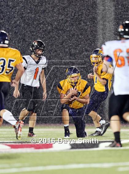 Thumbnail 2 in New Richmond @ River Falls photogallery.