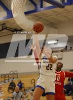 Photo from the gallery "Fort Wayne Wayne vs. Homestead"