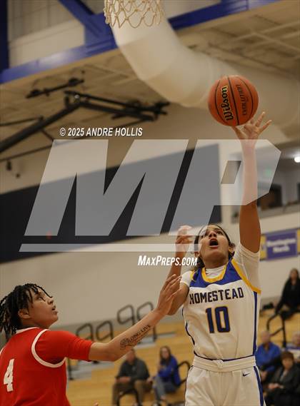 Thumbnail 1 in Fort Wayne Wayne vs. Homestead photogallery.