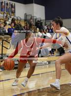 Photo from the gallery "Fort Wayne Wayne vs. Homestead"